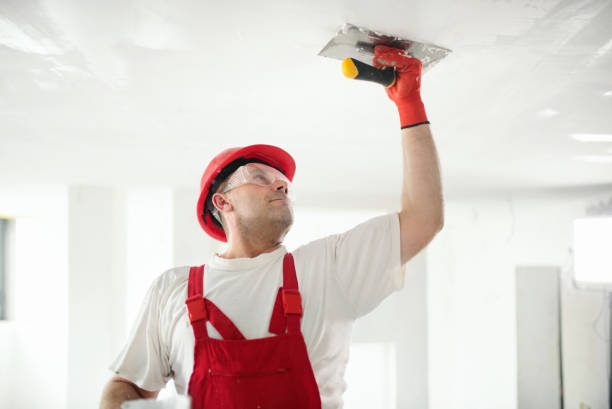 Best Water Damage & Mold Remediation  in Prairie City, IA